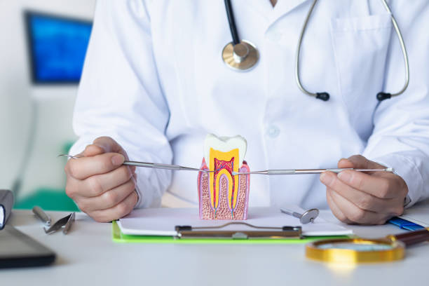 Best Knocked-Out Tooth Emergency  in Tremont, PA